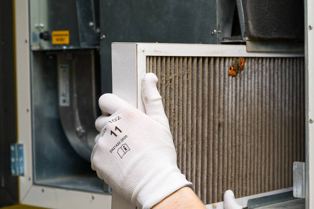 Best Air Duct Sanitizing Services  in Moxee, WA